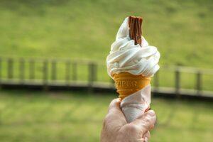 Hand holding soft serve vanilla ice cream cone